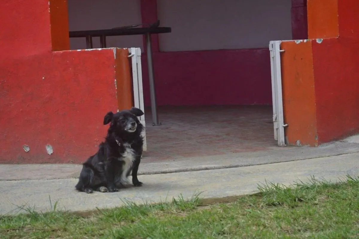 Encantadora Suite - Santa Elena Medellín Daire